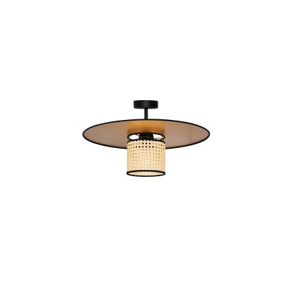 Duolla - Lestenec TOKYO RATTAN 1xE27/15W/230V pr. 50 cm zlata/ratan