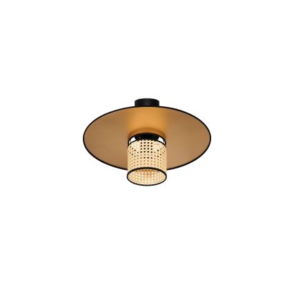 Duolla - Lestenec TOKYO RATTAN 1xE27/15W/230V pr. 50 cm zlata/ratan