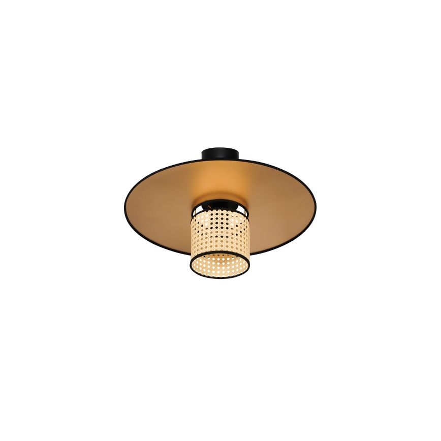 Duolla - Lestenec TOKYO RATTAN 1xE27/15W/230V pr. 50 cm zlata/ratan