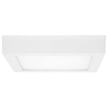 LED Stropna svetilka RAFA LED/12W/230V 3000/4000/6000K 17x17 cm bela