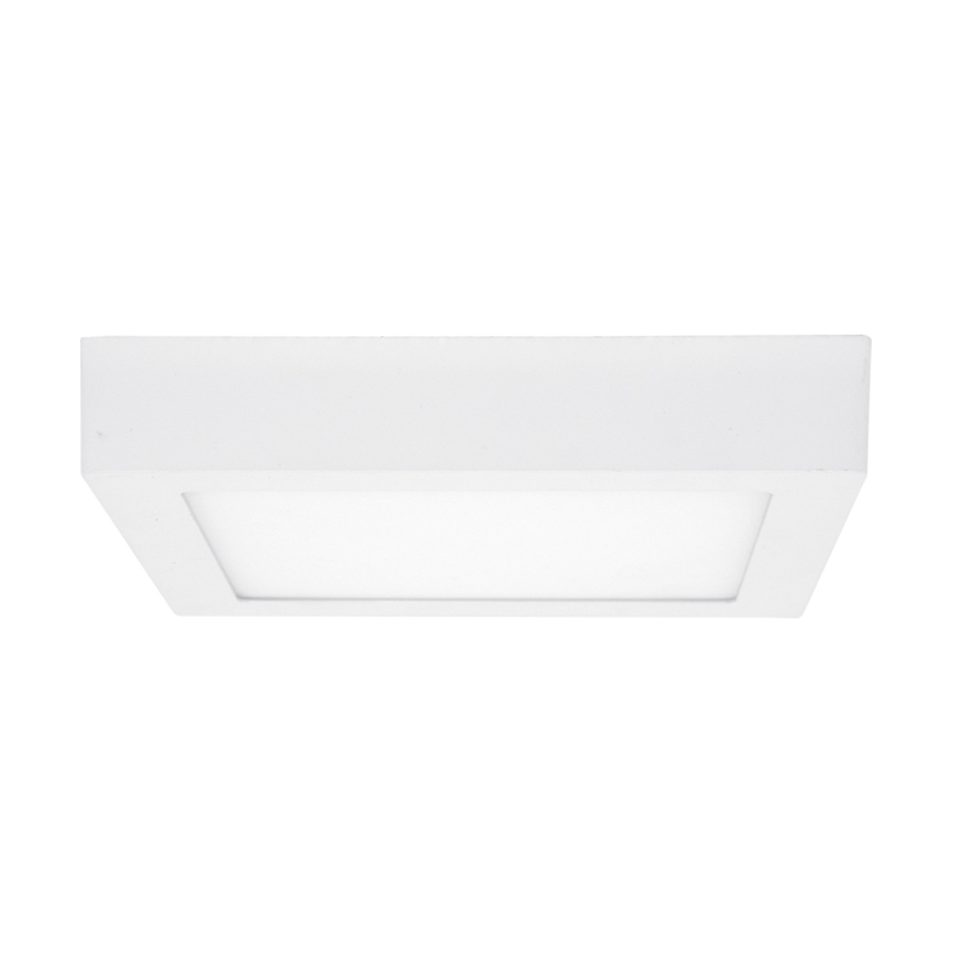 LED Stropna svetilka RAFA LED/25W/230V 3000/4000/6000K 30x30 cm bela