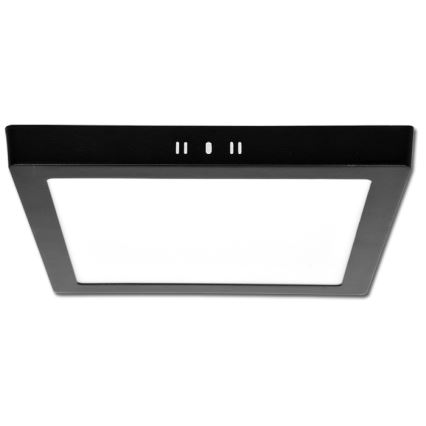 LED Stropna svetilka RAFA LED/25W/230V 3000/4000/6000K 30x30 cm črna
