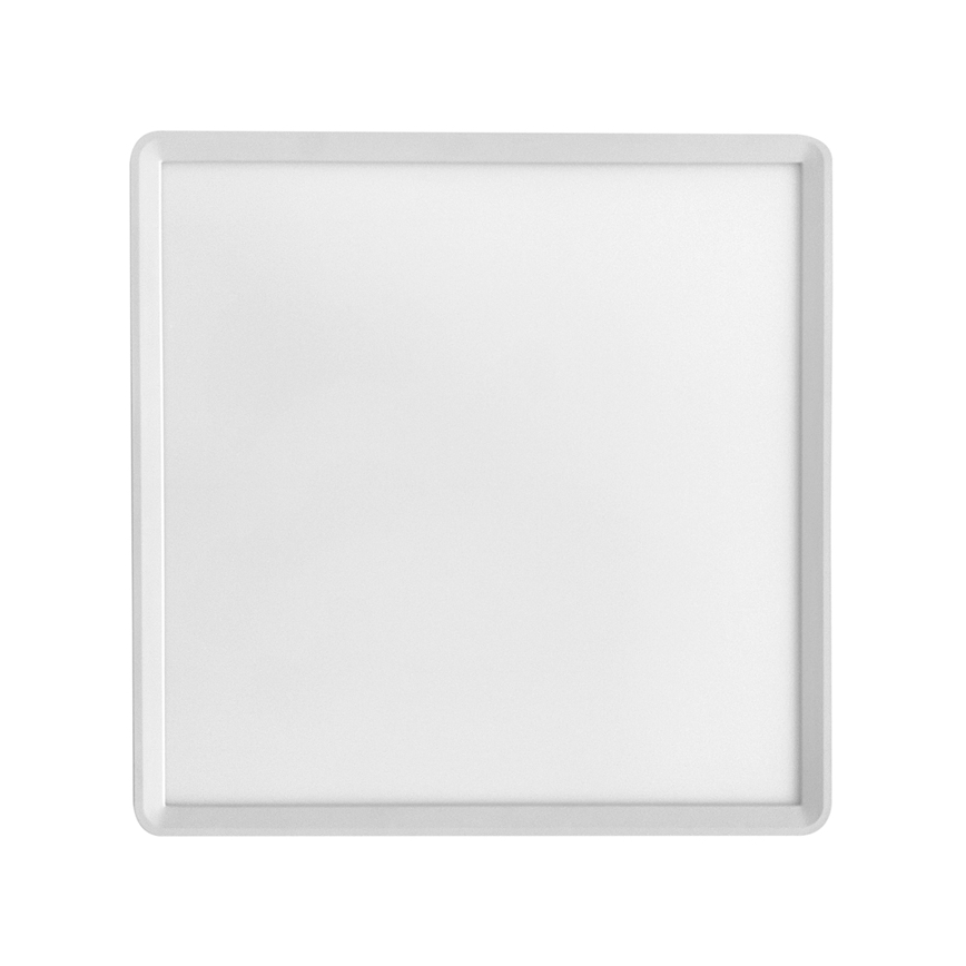 LED Stropna svetilka TERY LED/40W/230V 3000/4000/6000K 50x50 cm IP40 bela