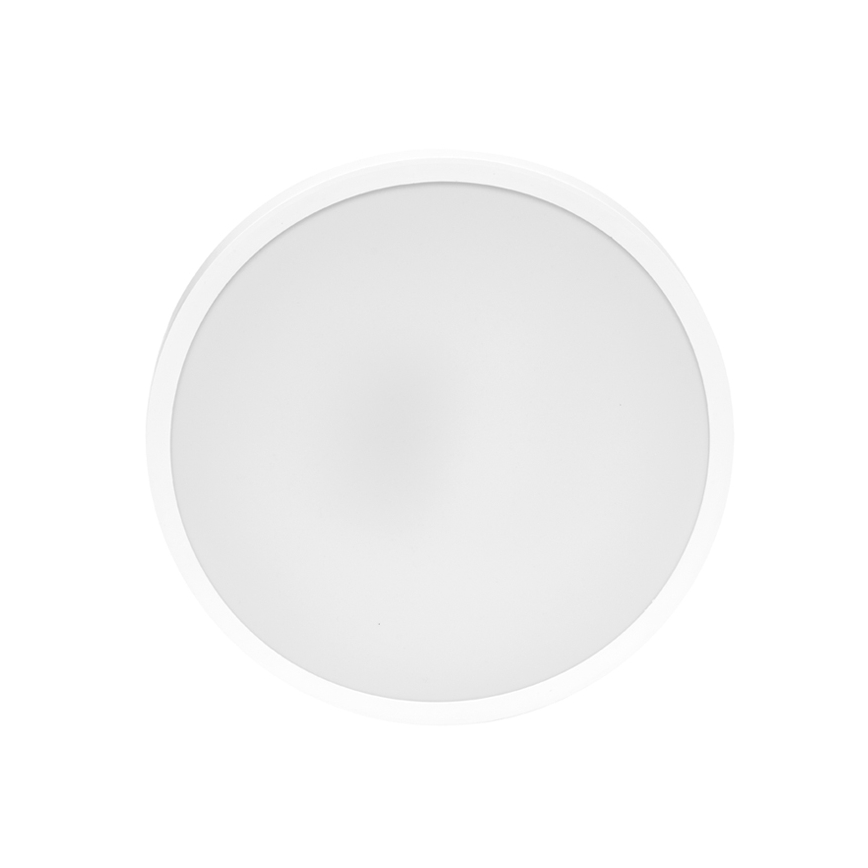 LED Kopalniška stropna svetilka LIRA LED/12W/230V 4000K pr. 25 cm IP44 bela