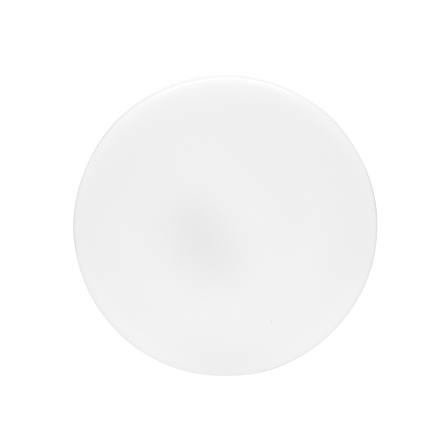 LED Kopalniška stropna svetilka LIRA LED/12W/230V 4000K pr. 24 cm IP44
