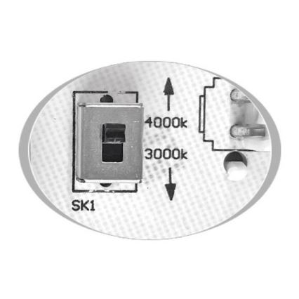 LED Zunanja stropna svetilka MARTIN LED/15W/230V 3000/4000K pr. 30 cm IP65 bela