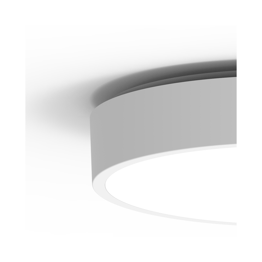 LED Zunanja stropna svetilka MARTIN LED/25W/230V 3000/4000K pr. 35 cm IP65 bela