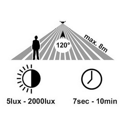 LED Zunanja stenska svetilka s senzorjem RITA LED/12W/230V 4000K IP65