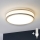 Eglo 31025 - LED stropna svetilka za kopalnico PALERMO 1xE14/40W/230V IP44