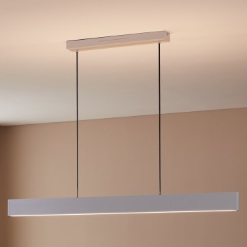 Eglo 31436 - LED RGBW Zatemnitveni lestenec na vrvici ANDREAS-Z LED/38W/230V 2700-6500K bela