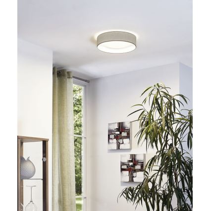 Eglo - LED stropna svetilka LED/11W/230V
