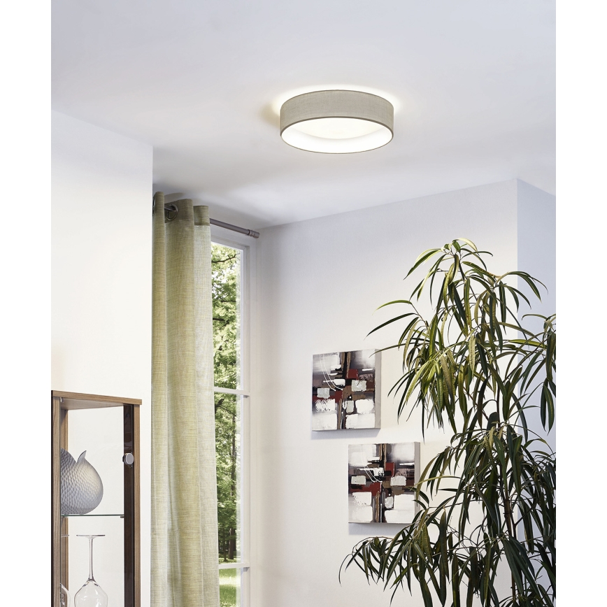 Eglo - LED stropna svetilka LED/11W/230V