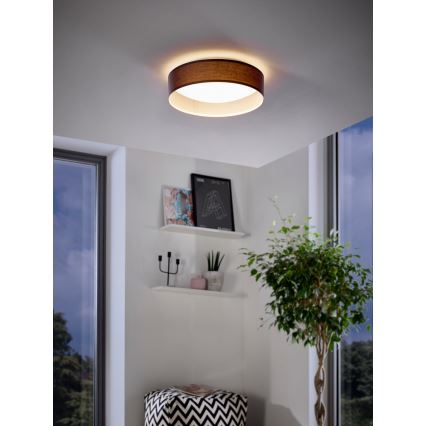 Eglo - LED Stropna svetilka LED/11W/230V