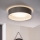Eglo 31623 - LED stropna svetilka MASERLO LED/16W/230V 3000K premer 40,5 cm siva/srebrna