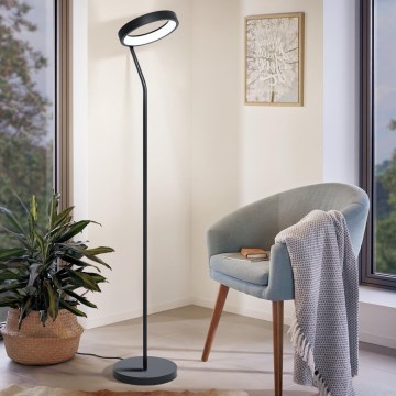 Eglo 32327 - LED RGBW stoječa svetilka z zatemnitvijo MARGHERA-C LED/15,5W/230V 2700-6500K črna