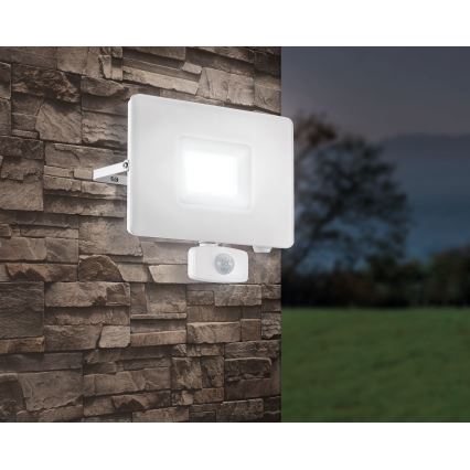 Eglo - LED reflektor s senzorjem LED/50W/230V IP44
