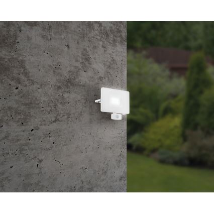 Eglo - LED reflektor s senzorjem LED/50W/230V IP44