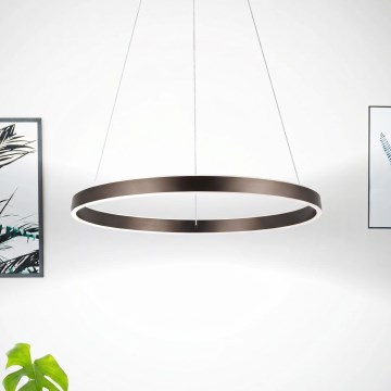 Eglo 33483 - LED lestenec na kablu ALCAZABA 2xLED/18W/230V 3000K pr. 55 cm bronast