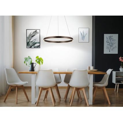 Eglo 33483 - LED lestenec na kablu ALCAZABA 2xLED/18W/230V 3000K pr. 55 cm bronast