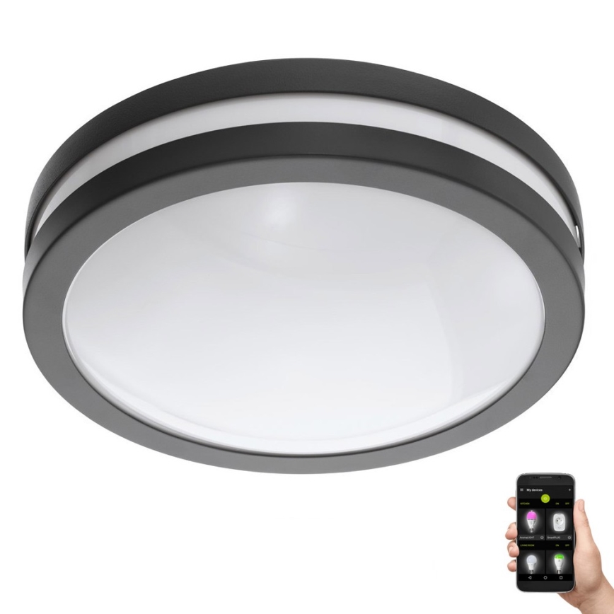 Eglo 33571 - LED Kopalniška zatemnitvena svetilka LOCANA-C LED/14W/230V IP44 črna