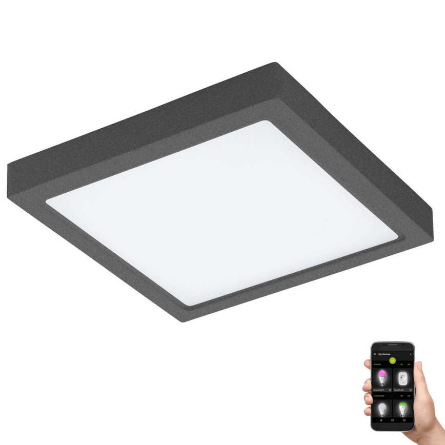 Eglo 33578- LED Kopalniška zatemnitvena svetilka ARGOLIS-C LED/22W/230V IP44 antracit