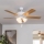 Eglo 35076 - Stropni ventilator LAS PALMAS 3xE27/40W/230V rjav