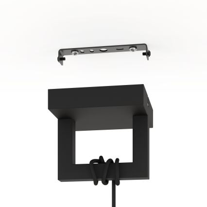 Eglo - Lestenec na vrvici 1xE27/40W/230V črna