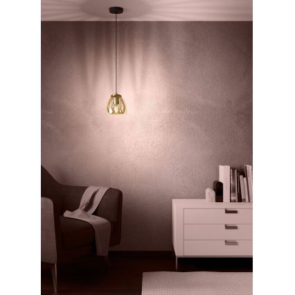 Eglo - Lestenec na vrvici 1xE27/40W/230V zlata