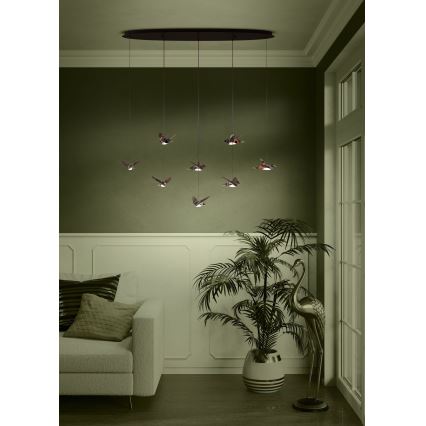 Eglo - LED Zatemnitveni lestenec na vrvici 8xLED/4,2W/230V 3000K črna