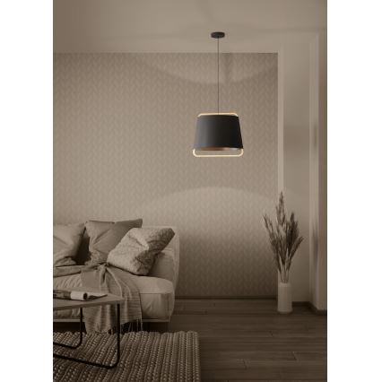 Eglo - Lestenec na vrvici 1xE27/40W/230V črna