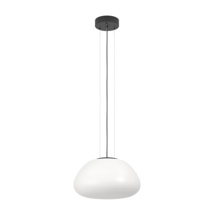 Eglo - Lestenec na vrvici 1xE27/40W/230V črna