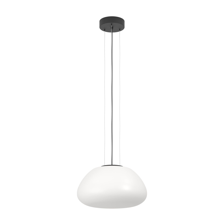Eglo - Lestenec na vrvici 1xE27/40W/230V črna