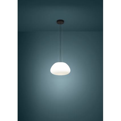 Eglo - Lestenec na vrvici 1xE27/40W/230V črna
