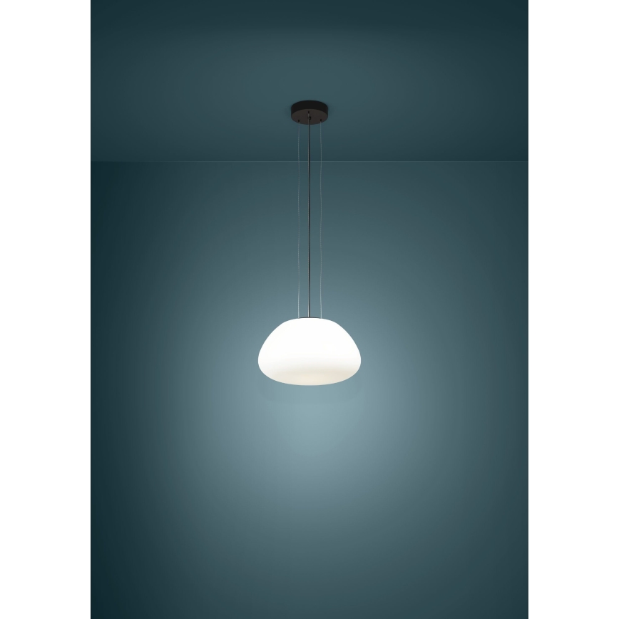 Eglo - Lestenec na vrvici 1xE27/40W/230V črna
