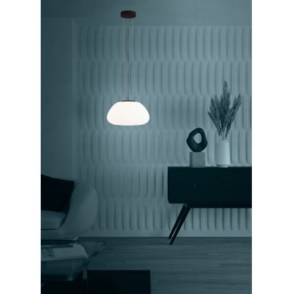 Eglo - Lestenec na vrvici 1xE27/40W/230V črna