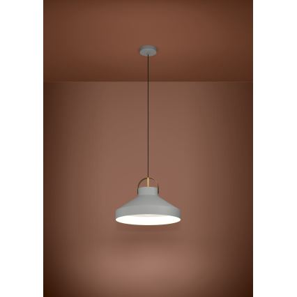 Eglo - Lestenec na vrvici 1xE27/40W/230V siva