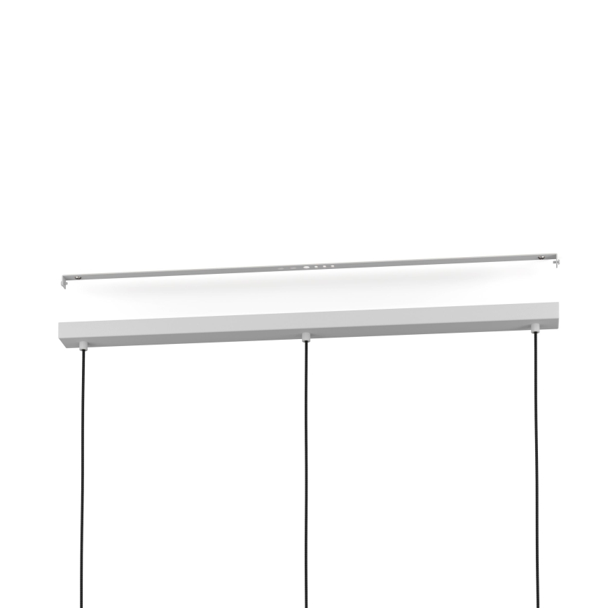 Eglo - Lestenec na vrvici 3xE27/40W/230V siva