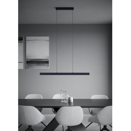 Eglo - LED Zatemnitveni lestenec na vrvici LED/20W/230V 3000K črna