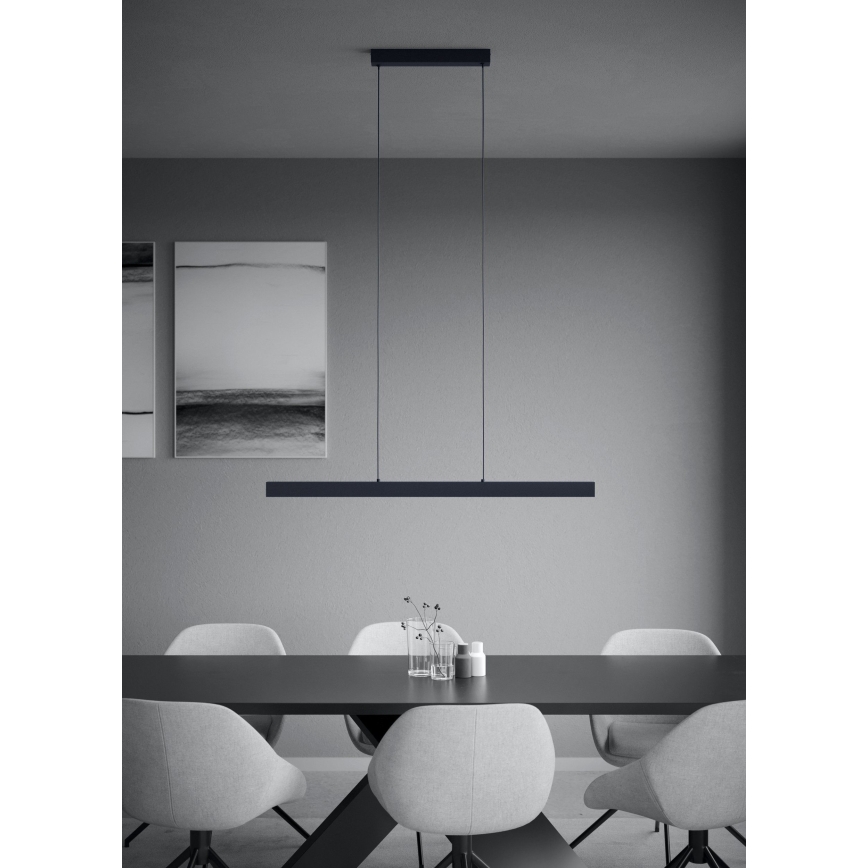 Eglo - LED Zatemnitveni lestenec na vrvici LED/20W/230V 3000K črna