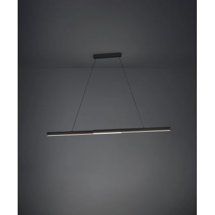 Eglo - LED Zatemnitveni lestenec na vrvici LED/20W/230V 3000K črna