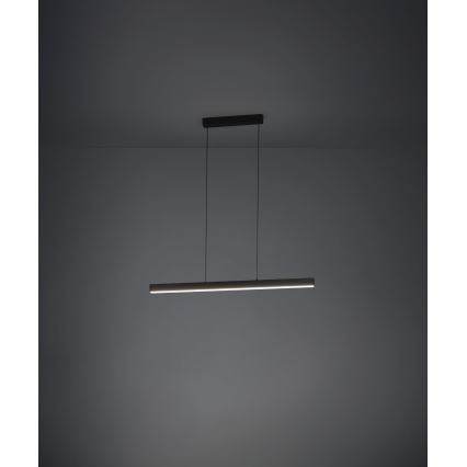Eglo - LED Zatemnitveni lestenec na vrvici LED/20W/230V 3000K črna