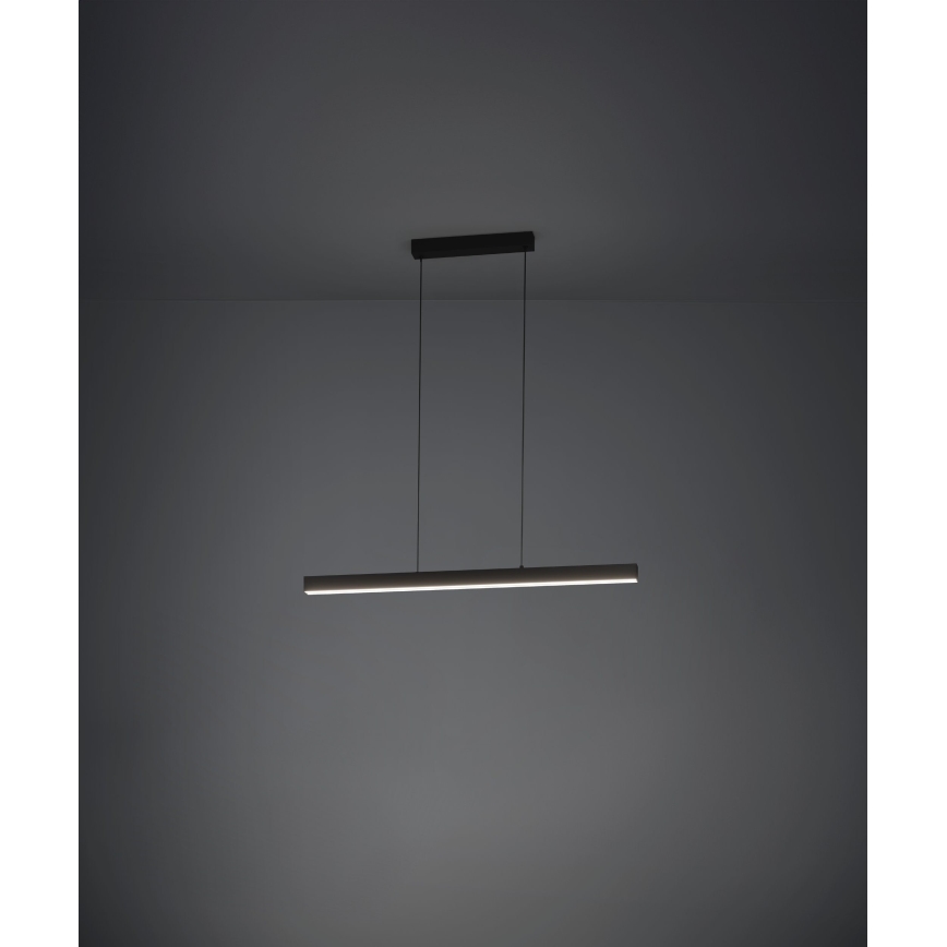 Eglo - LED Zatemnitveni lestenec na vrvici LED/20W/230V 3000K črna