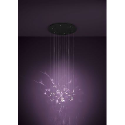 Eglo - LED zatemljiv lestenec na kablu 6xLED/4,2W/230V črna/prozorna