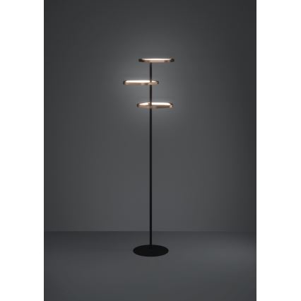 Eglo - zatemnjevalna stoječa LED svetilka LED/20W/230V medenina