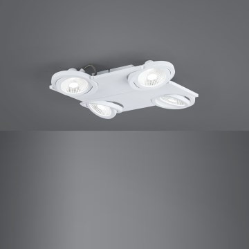 Eglo 39136 - LED reflektor BREA 4xLED/5W/230V/12V