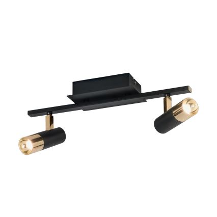 Eglo - LED reflektor 2xLED/5W/230V/12V