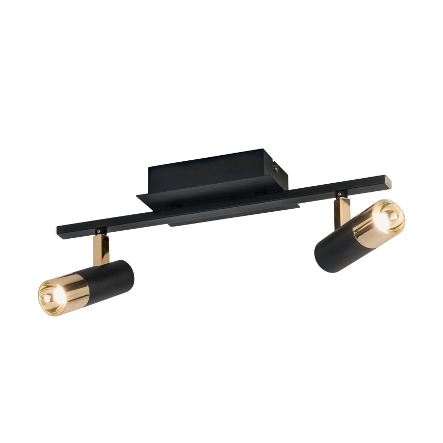 Eglo - LED reflektor 2xLED/5W/230V/12V