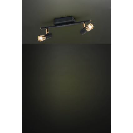 Eglo - LED reflektor 2xLED/5W/230V/12V