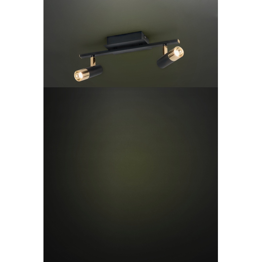 Eglo - LED reflektor 2xLED/5W/230V/12V