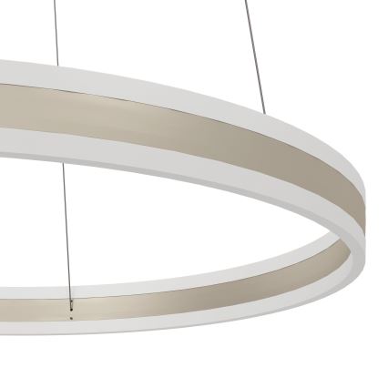 Eglo - LED Zatemnitveni lestenec na vrvici LED/78W/230V